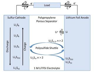 The charge (C) and discharge (D) electrochemical processes of the LiS battery. The separator keeps distance between the electrodes, while the LiTFSI is a lithium salt solution that ferries the ions.